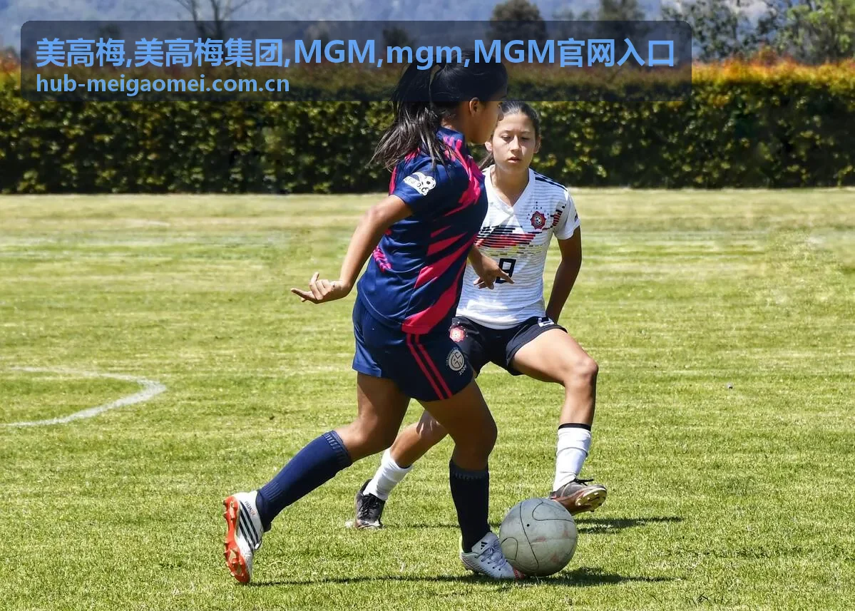 MGM官网入口指南与美高梅集团信息导览